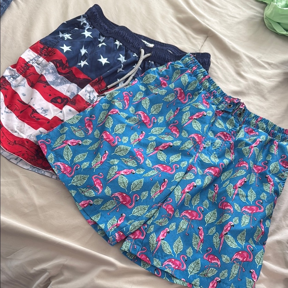 Patriotic and Flamingo Swim Shorts